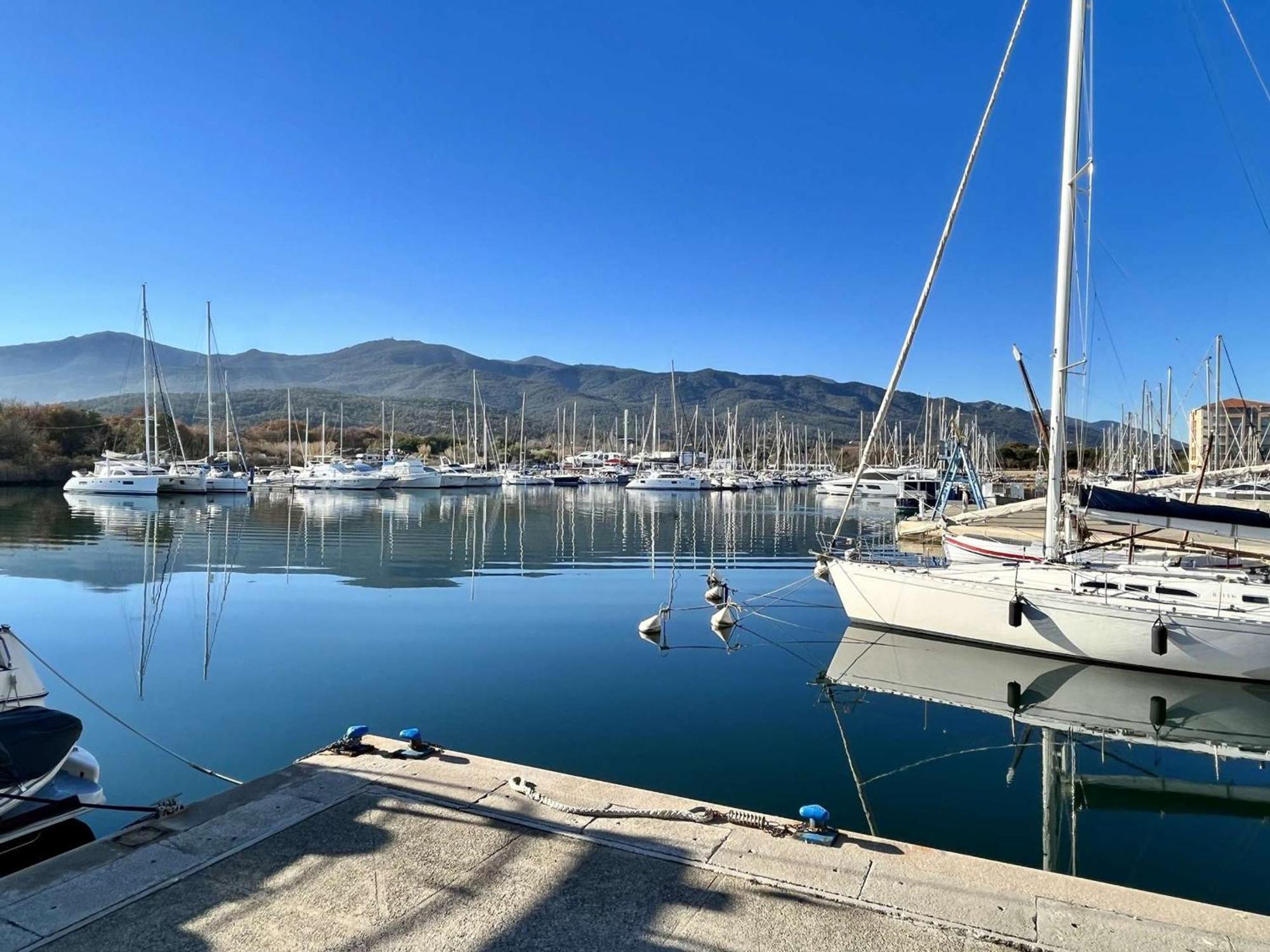 Appartement Argelès-sur-Mer, 2 pièces, 4 personnes - FR-1-225-56 Esterno foto